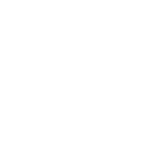 icon-wht-clean-house